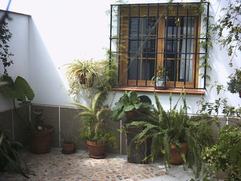 Casa Rural La Brena Talaván Exterior foto